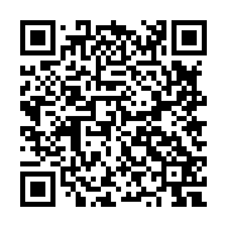 QR code for NYE823