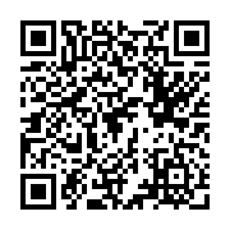 QR code for NYX6155
