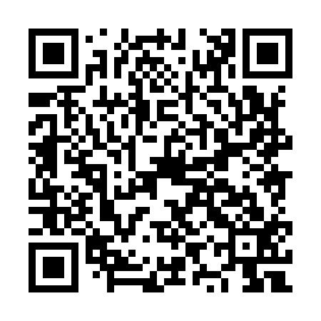 QR code for NYX913