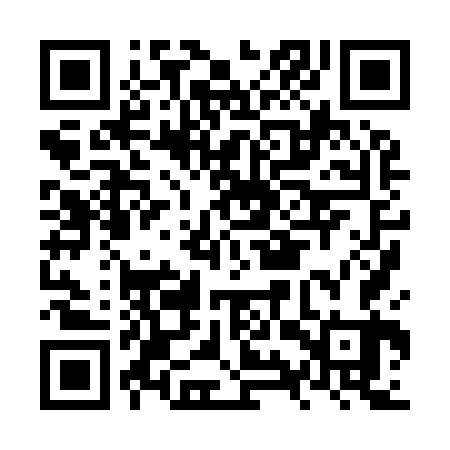 QR code for NYX963