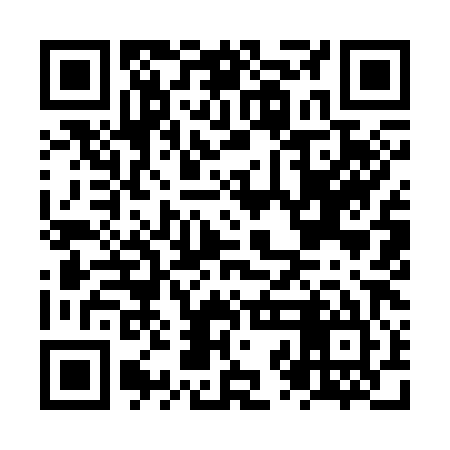 QR code for NZI385