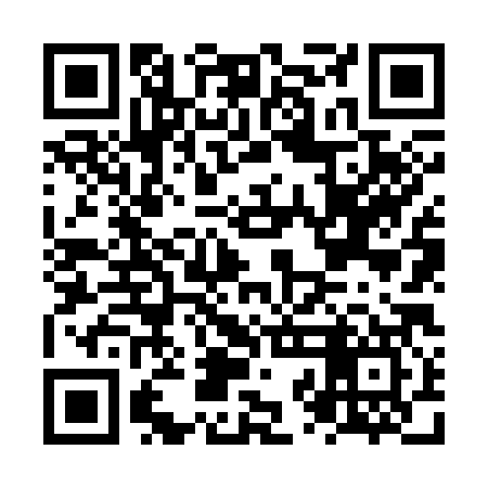QR code for NZN387