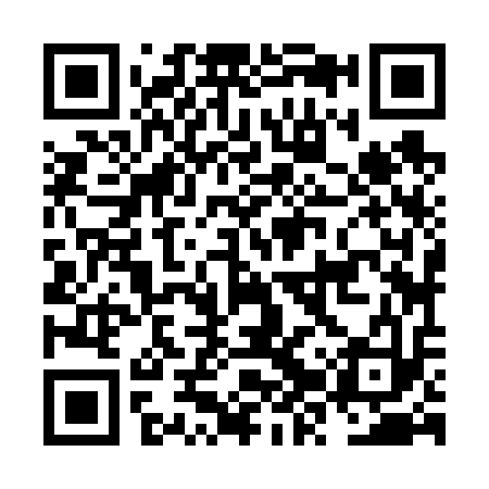 QR code for NZZ613