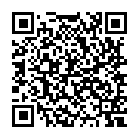 QR code for NZZ991