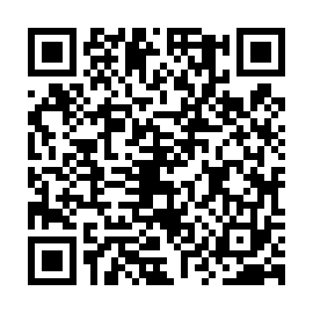 QR code for OYZ4738