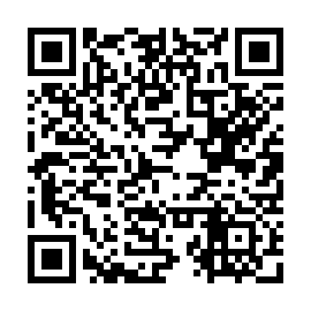 QR code for OZT333