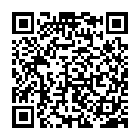 QR code for PAA371