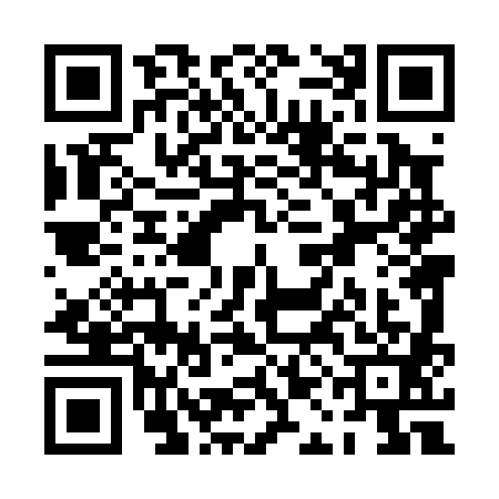 QR code for PAL0817