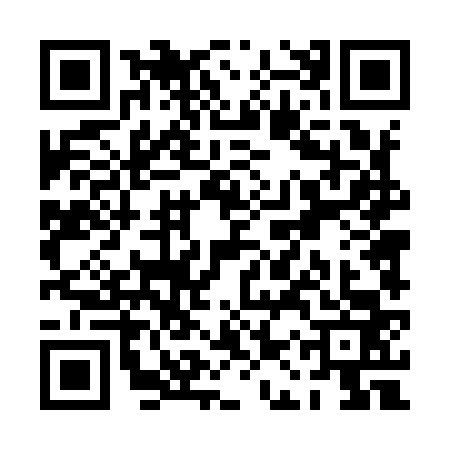 QR code for PAT9633