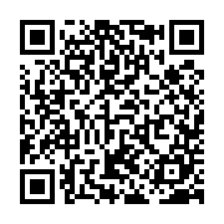 QR code for PAV545