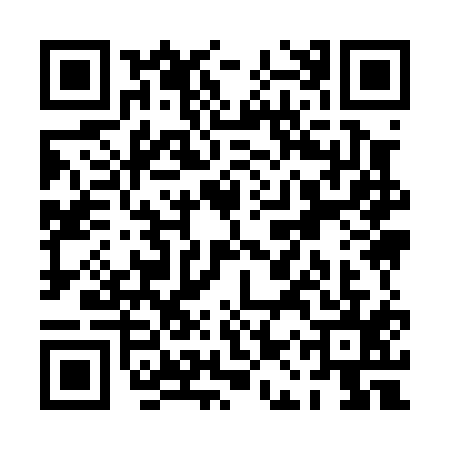 QR code for PAY0155