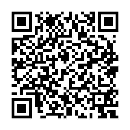 QR code for PAY2500