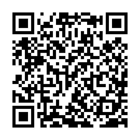 QR code for PCX489