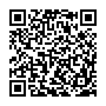 QR code for PCZ816