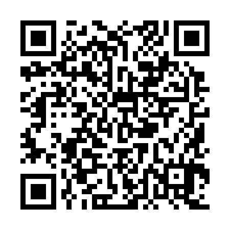 QR code for PDI384