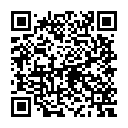 QR code for PDI556