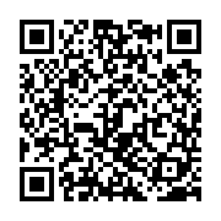 QR code for PDI749