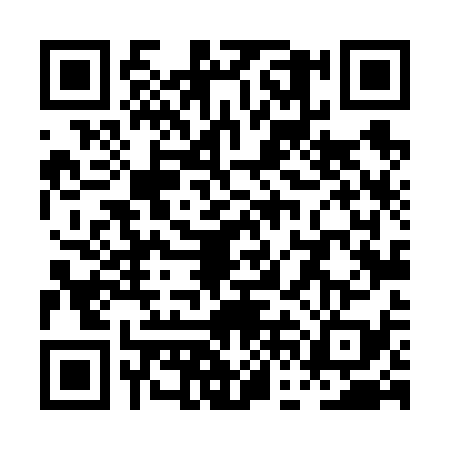 QR code for PFL6393