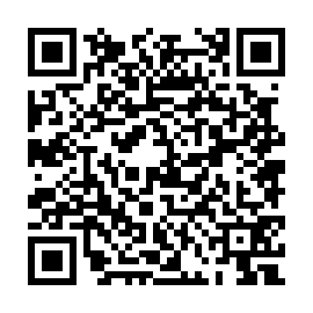QR code for PFN0729
