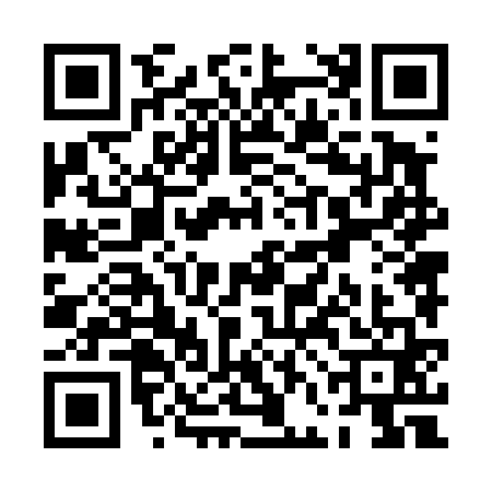QR code for PFN4617