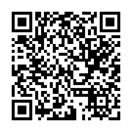 QR code for PGI387