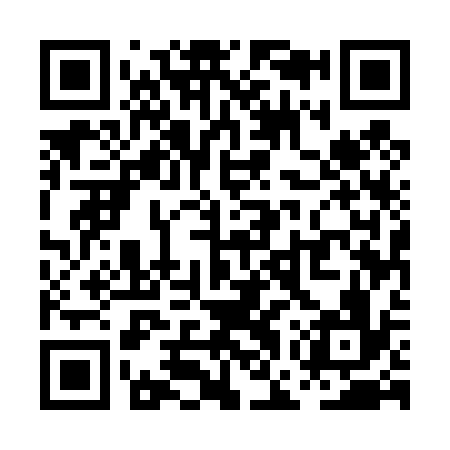 QR code for PGU436