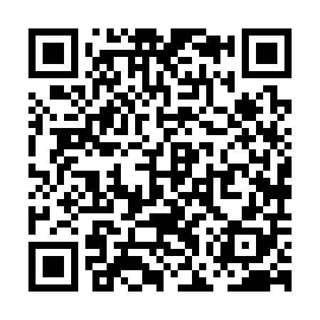 QR code for PGX308