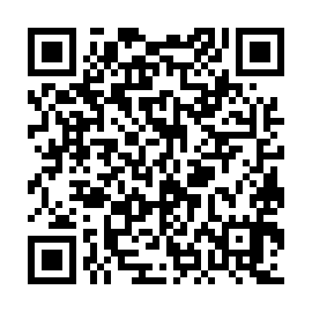 QR code for PHG595