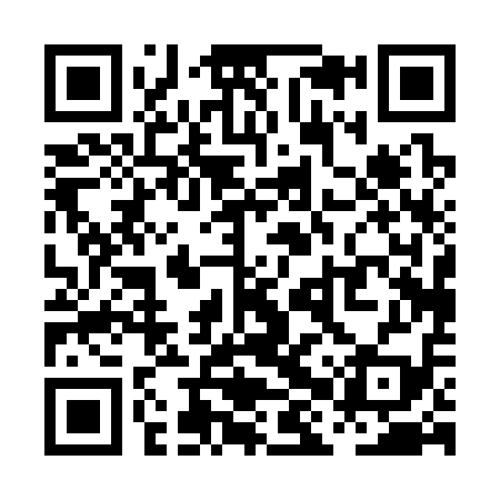 QR code for PHP319