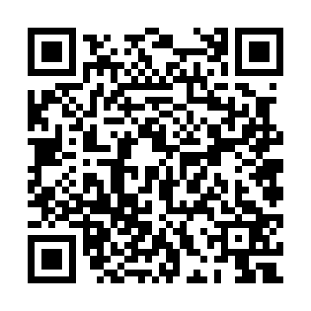 QR code for PHV0234