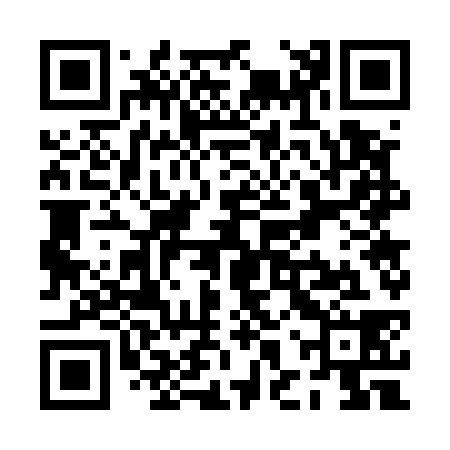 QR code for PHW538