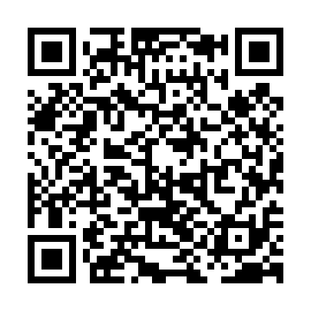 QR code for PIM411