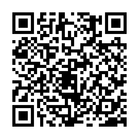 QR code for PIN2381