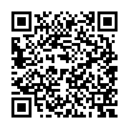 QR code for PIN6531