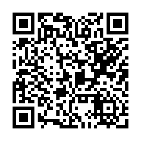 QR code for PIP956