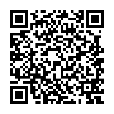 QR code for PIR0980