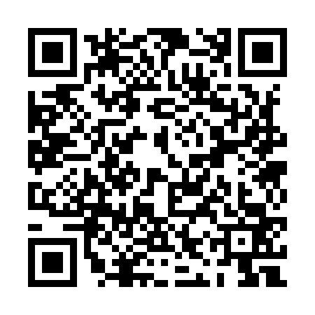 QR code for PIS9636