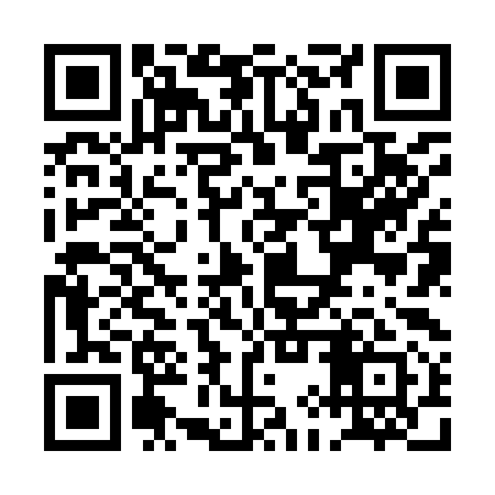 QR code for PIZ991