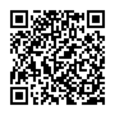 QR code for PJK381