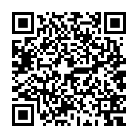 QR code for PJV6295
