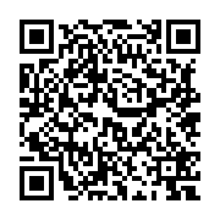 QR code for PJZ8291