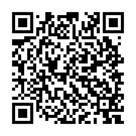 QR code for PKJ393