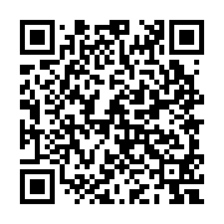 QR code for PKM390