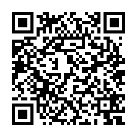 QR code for PKZ2295