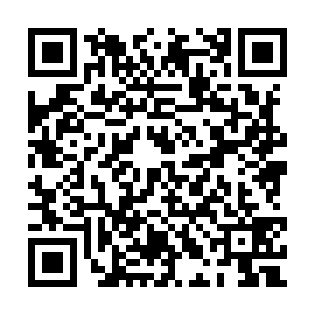 QR code for PLH9393