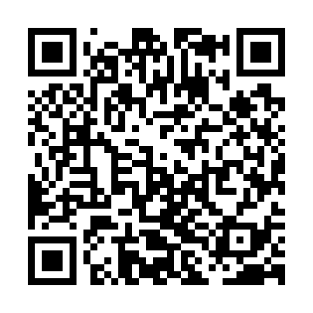 QR code for PLM739