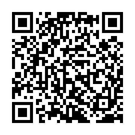 QR code for PLQ593
