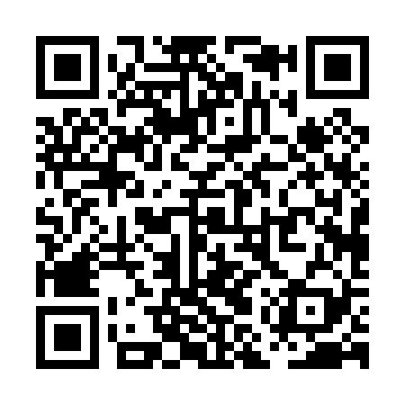 QR code for PMP029