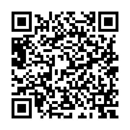 QR code for PNK9951