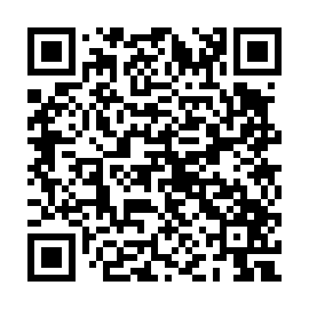 QR code for PNS447